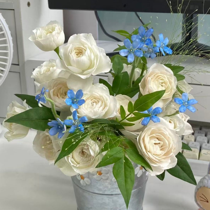 🌹Spray Rose Seeds · Multi-Bloom Elegance ✨