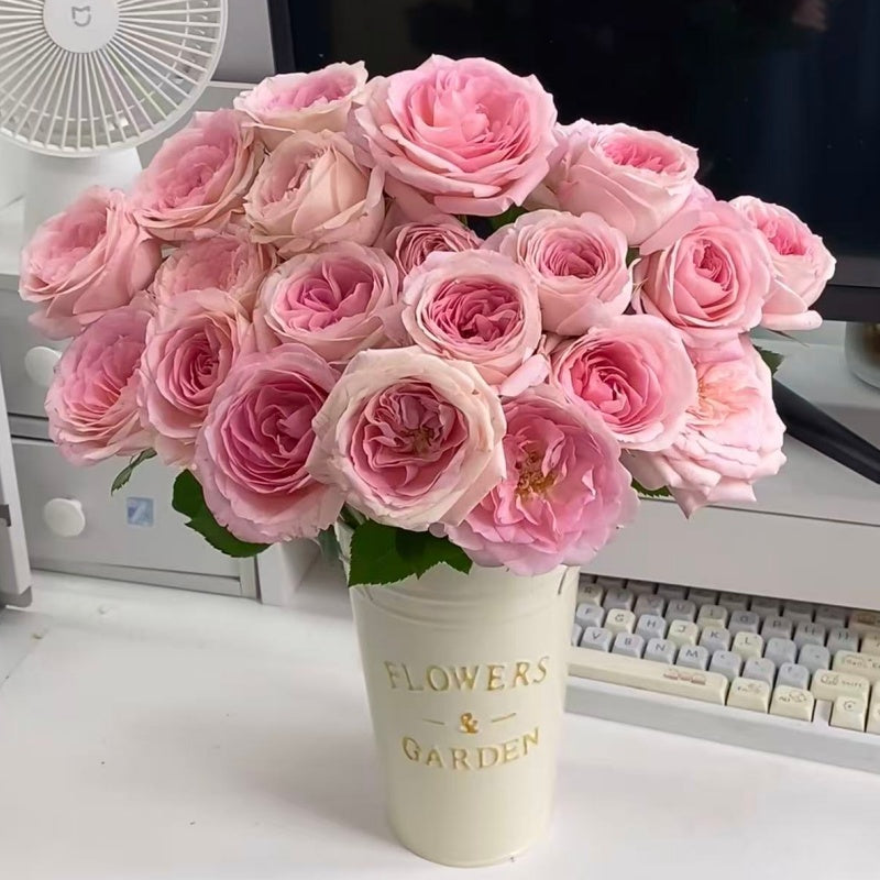 🌹Spray Rose Seeds · Multi-Bloom Elegance ✨