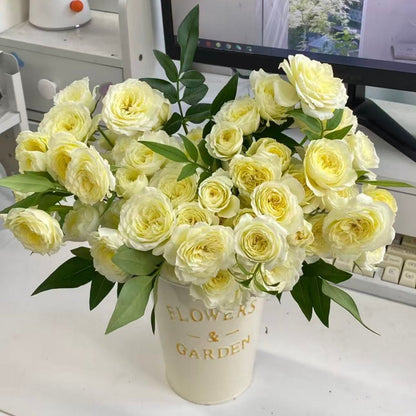 🌹Spray Rose Seeds · Multi-Bloom Elegance ✨