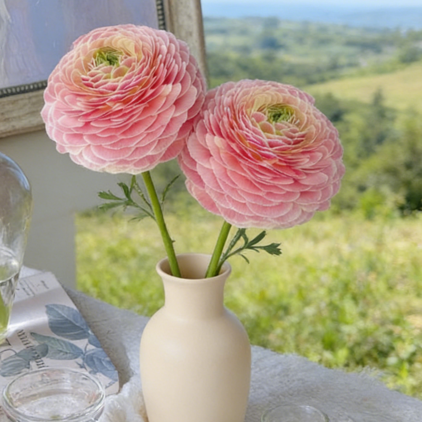 🌸Plant Peonies Once, Enjoy Blooms for Years