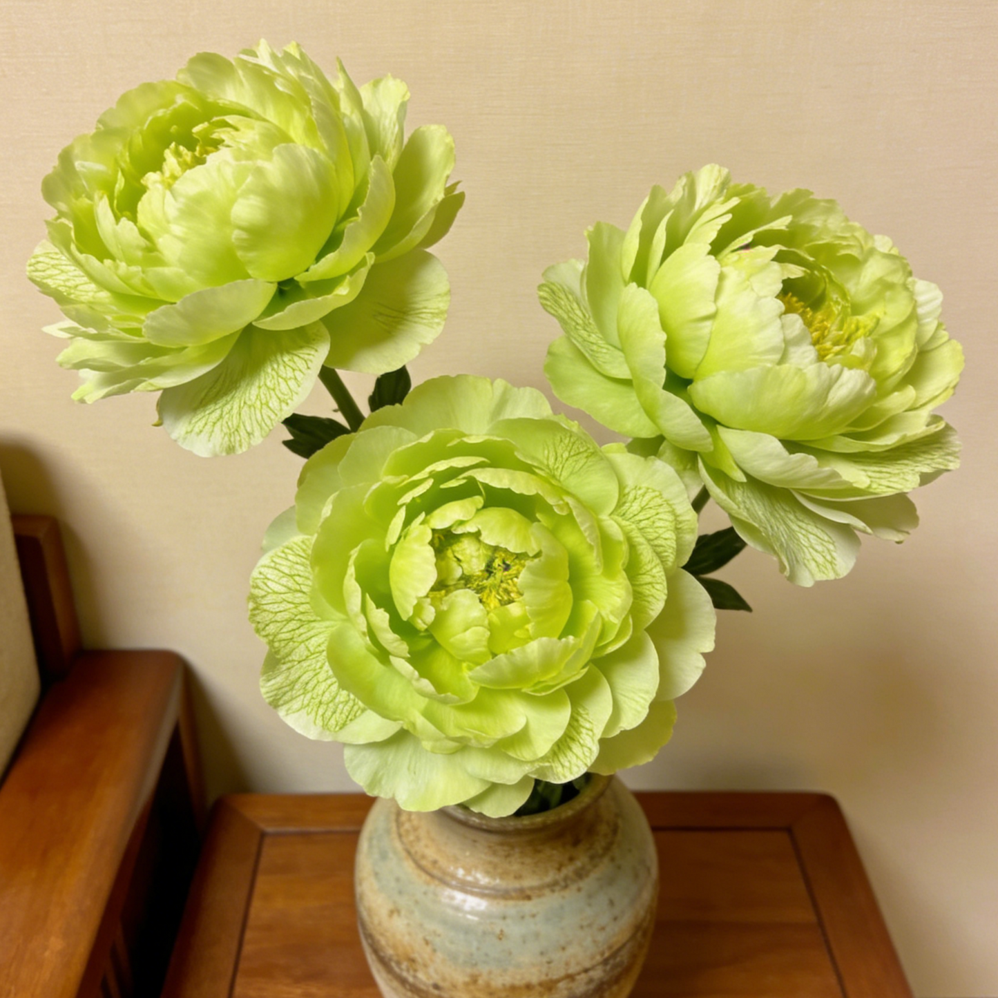 🌸Plant Peonies Once, Enjoy Blooms for Years