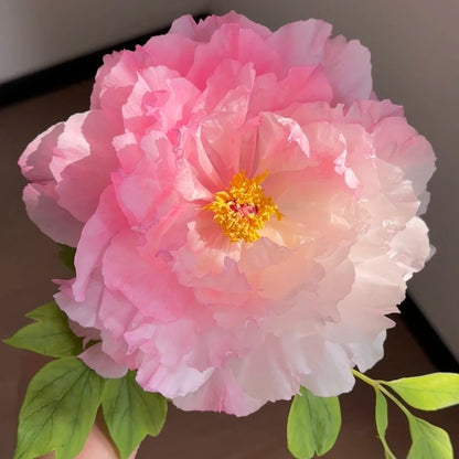 🌸Plant Peonies Once, Enjoy Blooms for Years