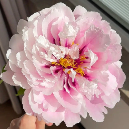 🌸Plant Peonies Once, Enjoy Blooms for Years