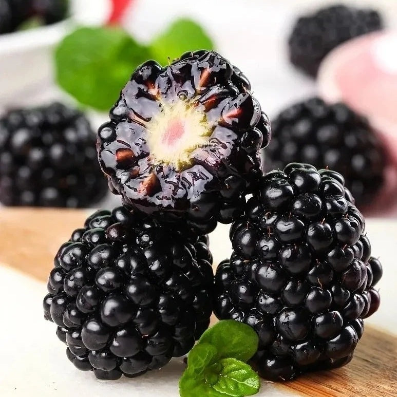 🍓🌱Grow Your Own Raspberries — Fresh, Sweet & Ready to Pick