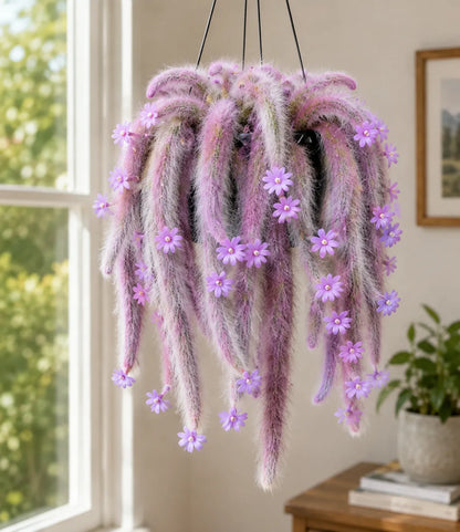 🌵 Rare Rainbow Monkey Tail Cactus Bulbs – Stunning Trailing Beauty for Home & Garden