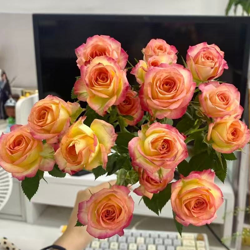 🌹Spray Rose Seeds · Multi-Bloom Elegance ✨