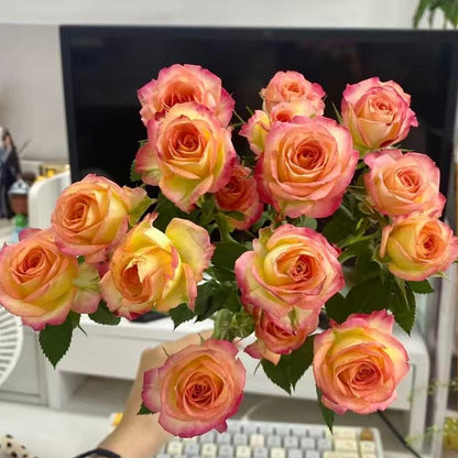 🌹Spray Rose Seeds · Multi-Bloom Elegance ✨