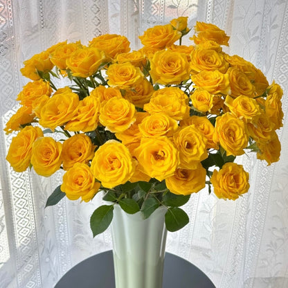 🌹Spray Rose Seeds · Multi-Bloom Elegance ✨
