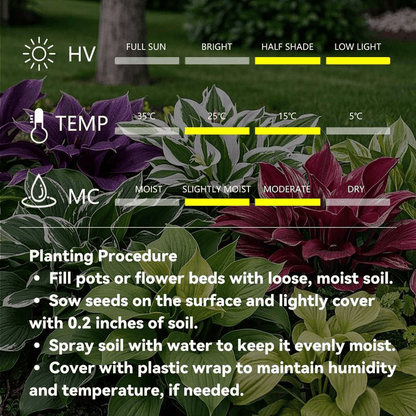 🌿Garden Favorite Hosta Bulbs – Rare & Beautiful Perennial Flowering Plants🎁
