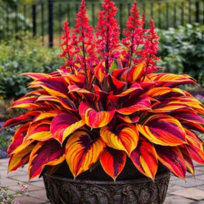 🌿 Shade-Loving Hosta Bulbs — Easy, Lush Growth Year After Year