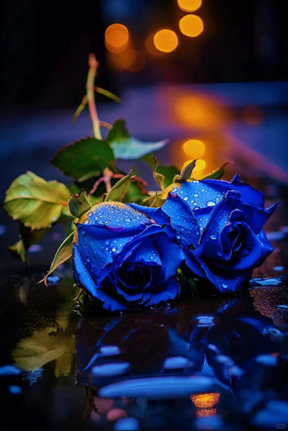 💙 Classic Blue Enchantress Rose Seeds – Mystical Bloom Magic
