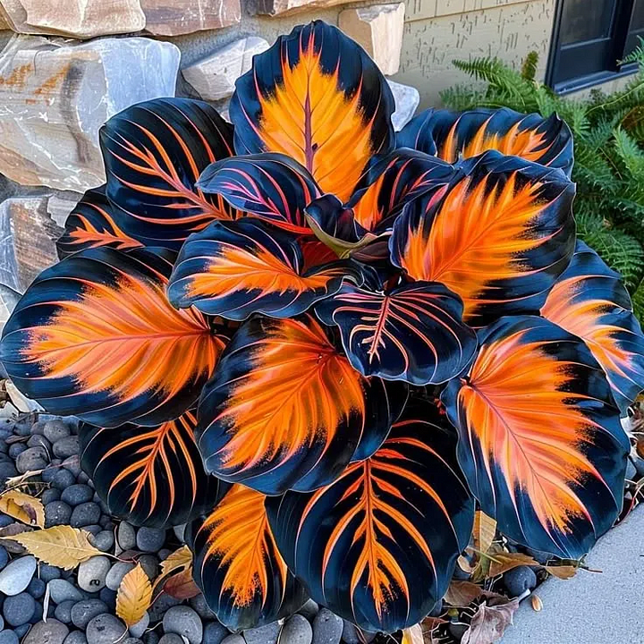 🌿Garden Favorite Hosta Bulbs – Rare & Beautiful Perennial Flowering Plants🎁