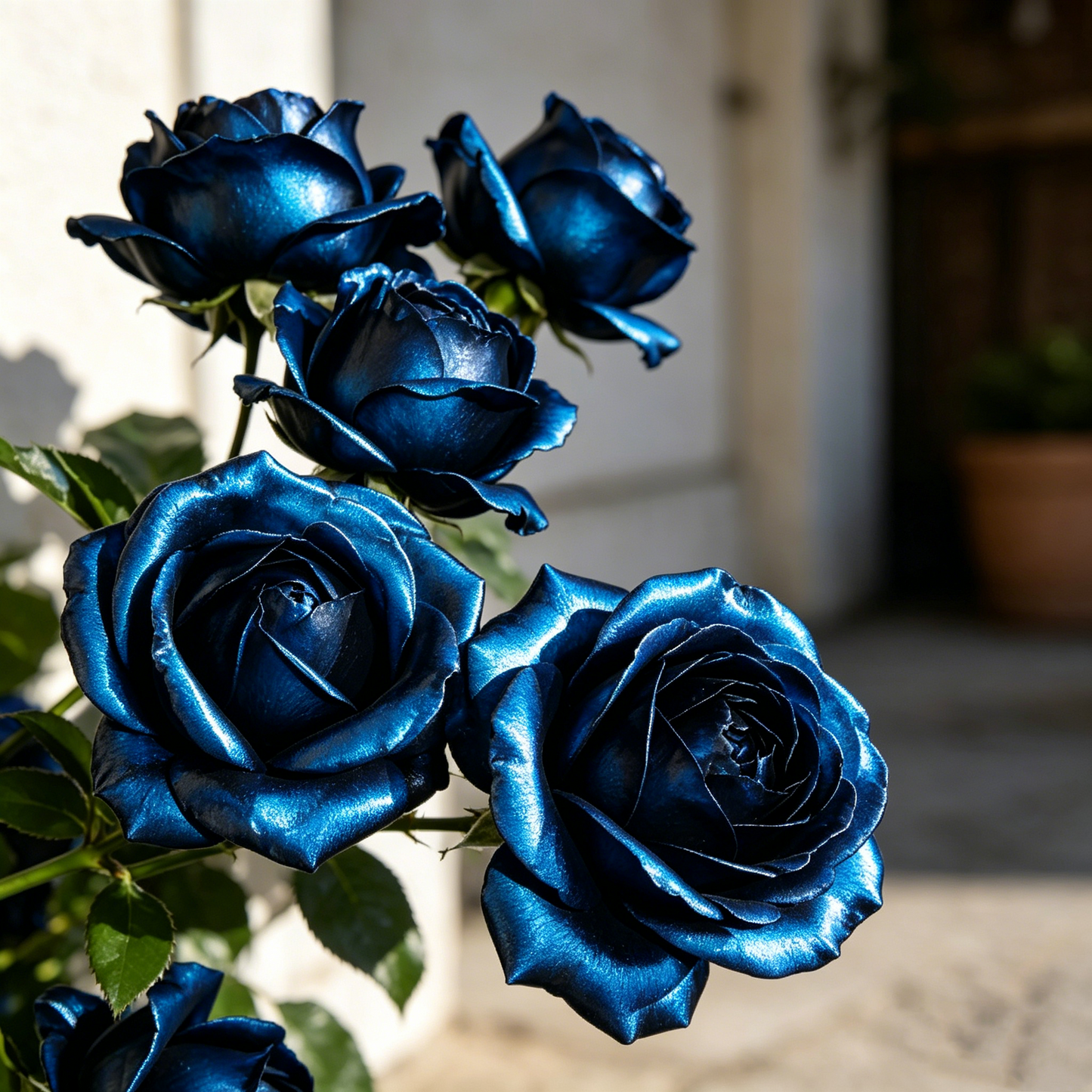 🌹Gradient Pearl Roses Seeds – Multi/Two-Tone Bloom Magic🌈