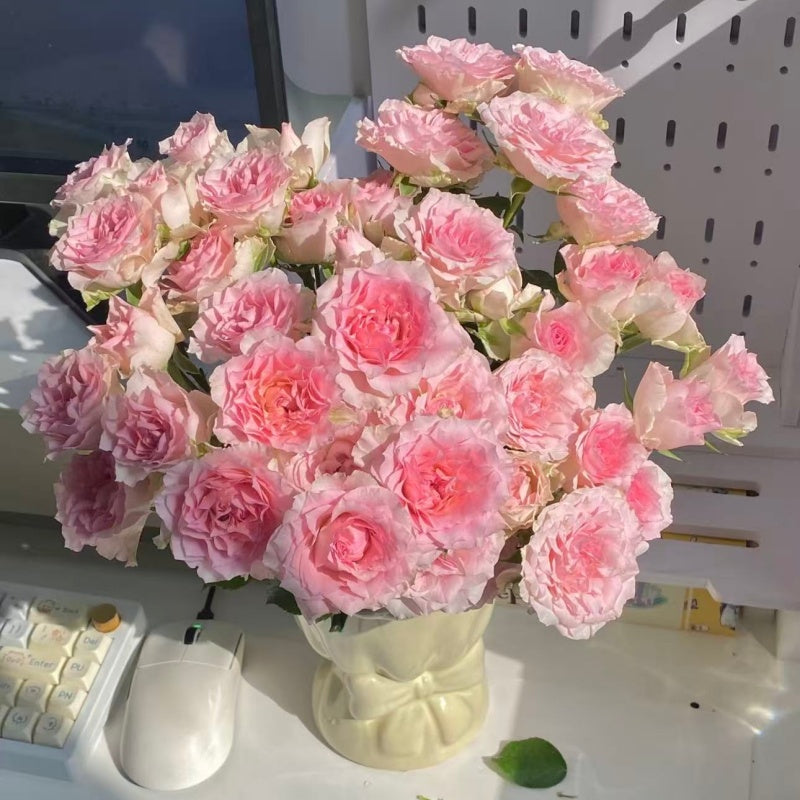 🌹Spray Rose Seeds · Multi-Bloom Elegance ✨