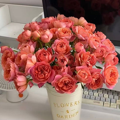 🌹Spray Rose Seeds · Multi-Bloom Elegance ✨