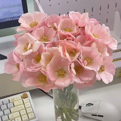 🌹Spray Rose Seeds · Multi-Bloom Elegance ✨