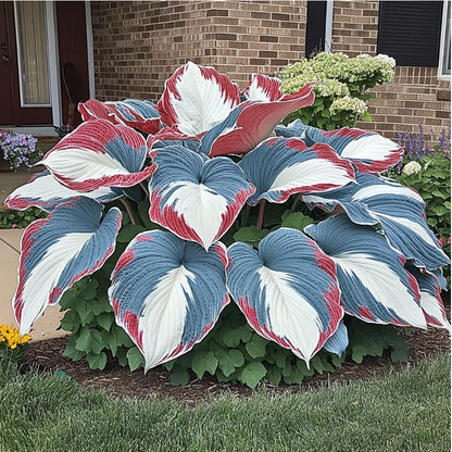 🍃 Exclusive Hosta Bulbs – Unique Foliage, Effortless Beauty
