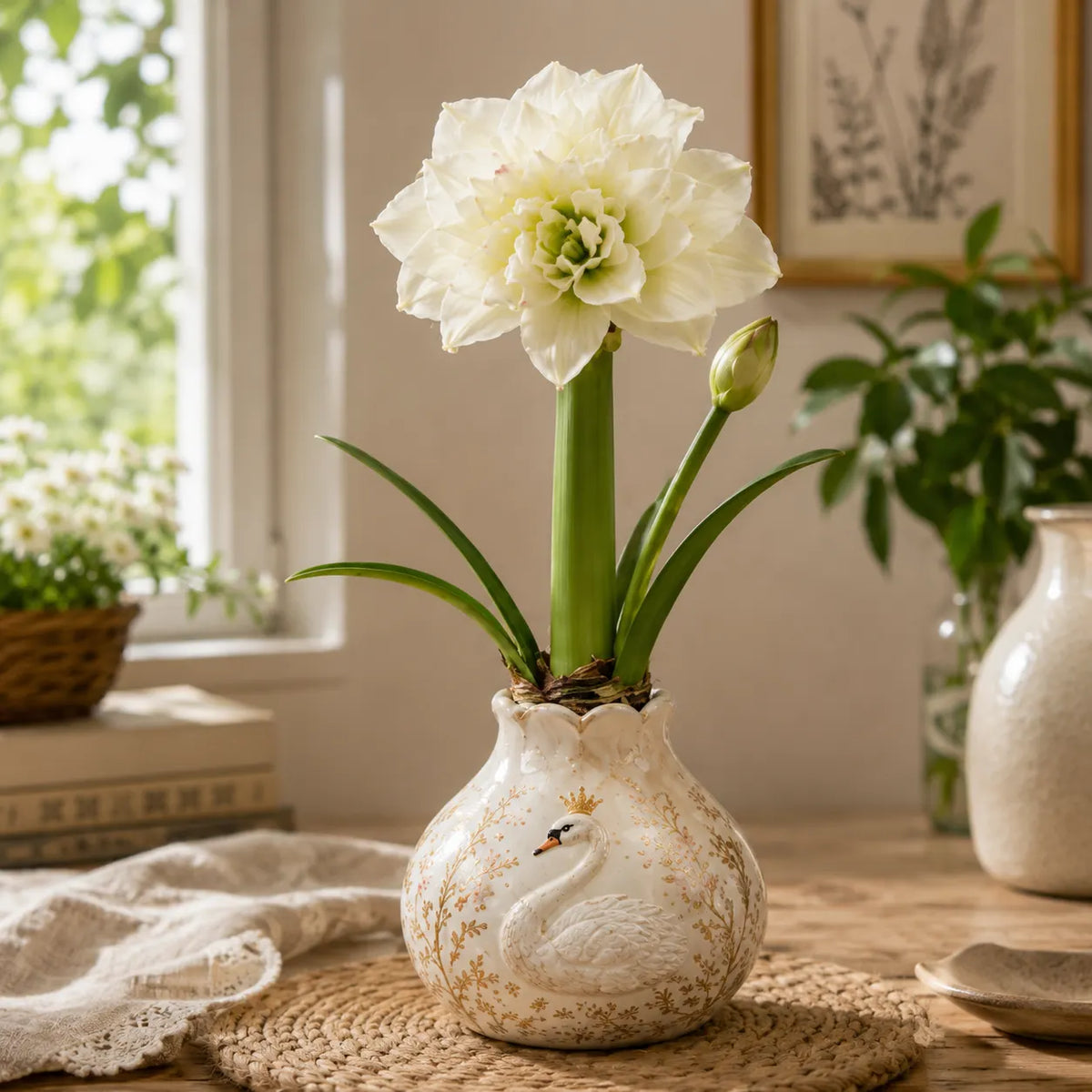 🔥 No Soil! No Water! Just Blooms! 🌺 Watch These Waxed Amaryllis Bulbs Come to Life!