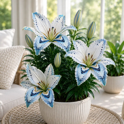 🦋 Butterfly Lily Bulbs – Stunning Blooms for Every Garden