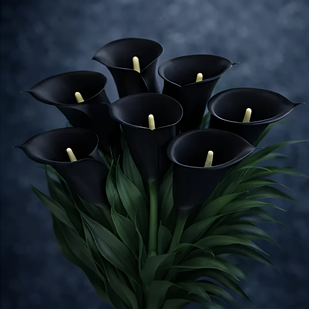 🌈✨ Mystical Aurora Calla Lily — Rare & Elegant Blooms