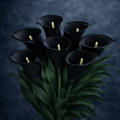 🌈✨ Mystical Aurora Calla Lily — Rare & Elegant Blooms