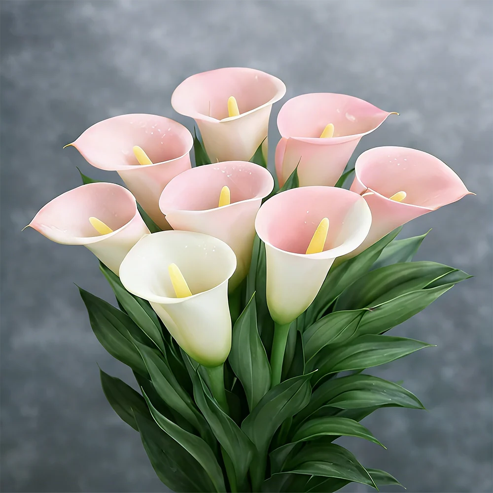 🌈✨ Mystical Aurora Calla Lily — Rare & Elegant Blooms