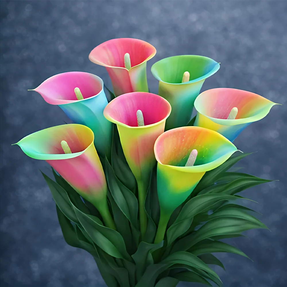 🌈✨ Mystical Aurora Calla Lily — Rare & Elegant Blooms