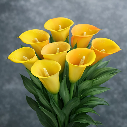 🌈✨ Mystical Aurora Calla Lily — Rare & Elegant Blooms