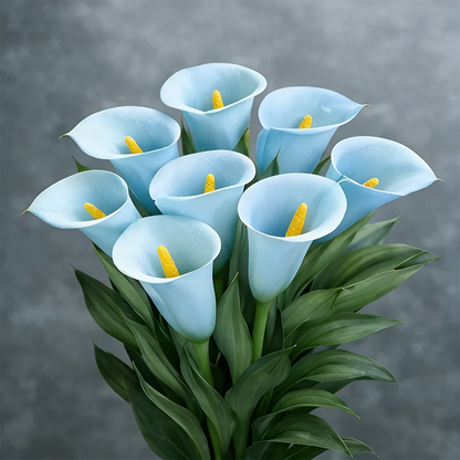 🌈✨ Mystical Aurora Calla Lily — Rare & Elegant Blooms