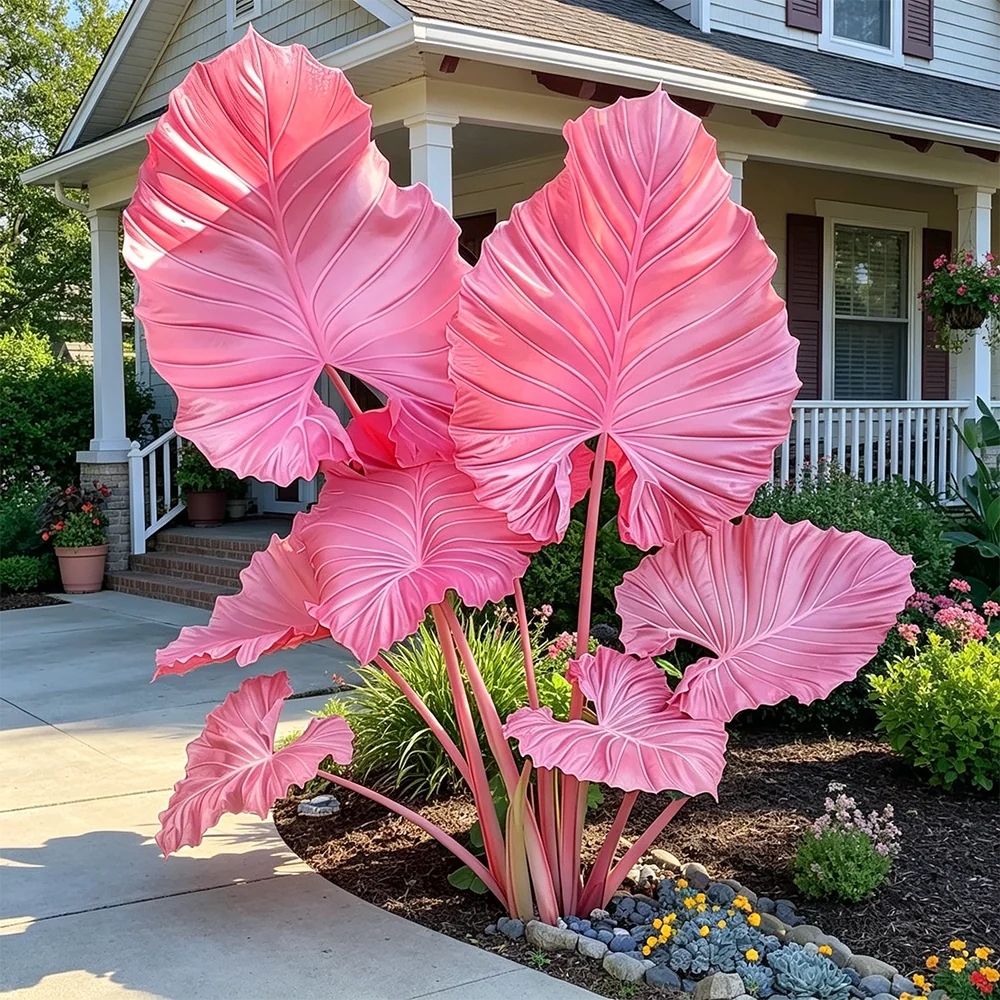 🔥 Premium Giant Caladium Bulbs 🌿🌈 Easy Care & Cold Hardy &Giant Leaves