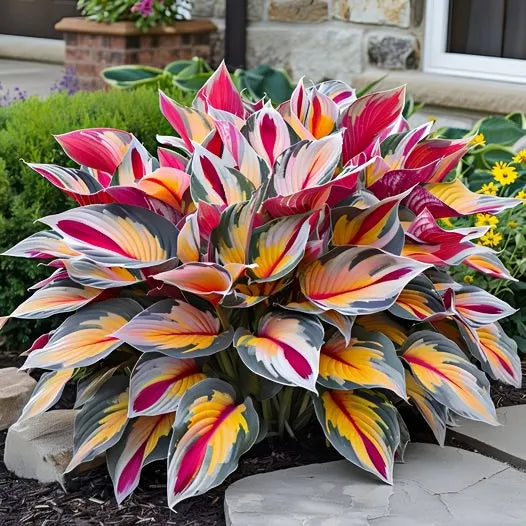 🍃 Exclusive Hosta Bulbs – Unique Foliage, Effortless Beauty