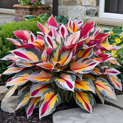 🍃 Exclusive Hosta Bulbs – Unique Foliage, Effortless Beauty