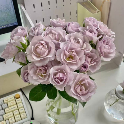 🌹Spray Rose Seeds · Multi-Bloom Elegance ✨