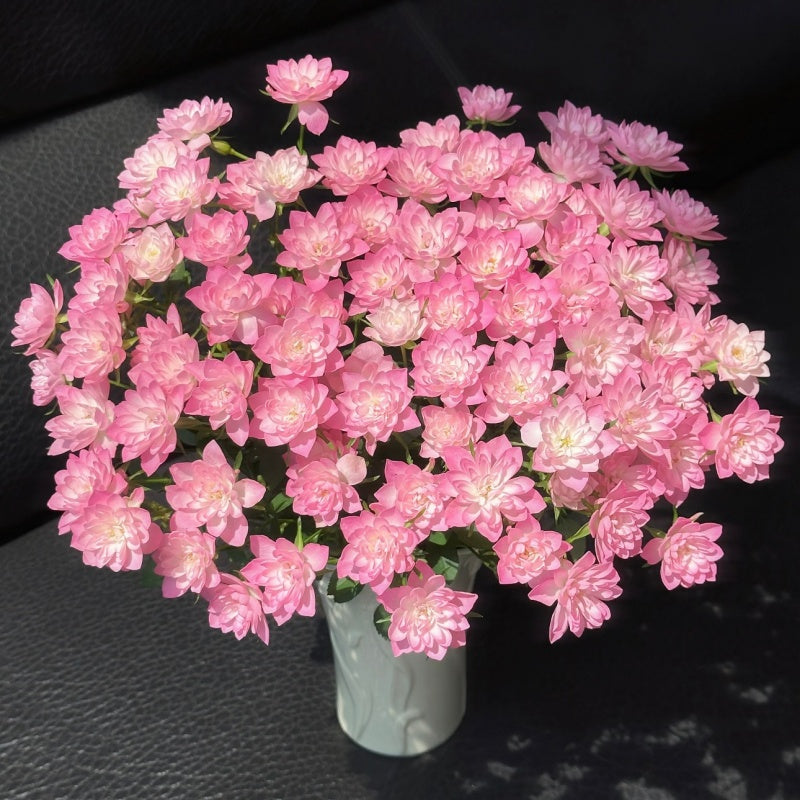 🌹Spray Rose Seeds · Multi-Bloom Elegance ✨