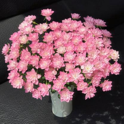🌹Spray Rose Seeds · Multi-Bloom Elegance ✨