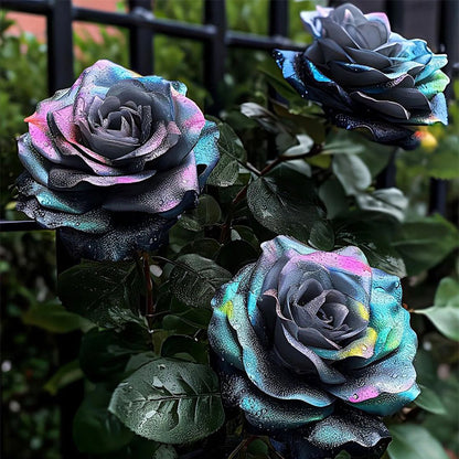 Western Mandala Lancaros Rose