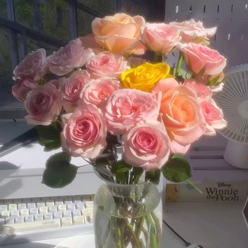 🌹Spray Rose Seeds · Multi-Bloom Elegance ✨