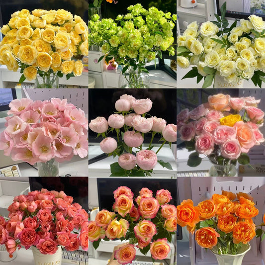 🌹Spray Rose Seeds · Multi-Bloom Elegance ✨
