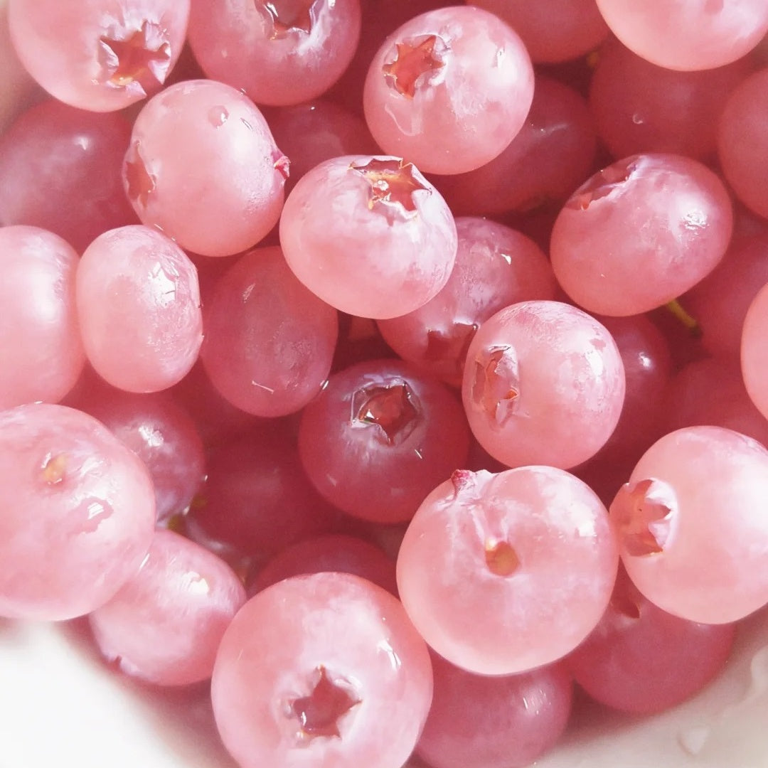 🫐 Giant Blueberry Seeds – Blue & Pink Variety Mix ✨