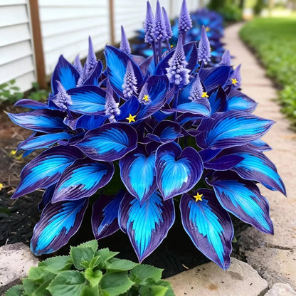 🌿 Unique Hosta Seeds – Freshly Shipped From Oregon 🌱