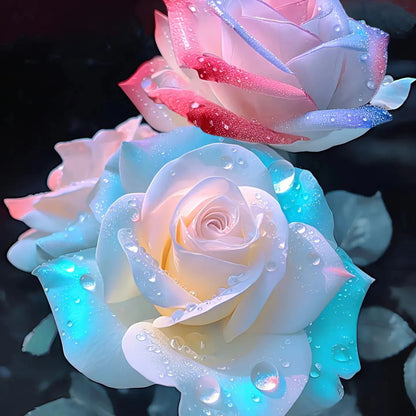 Rare Western Mandala Langalos Rose🫧🌈