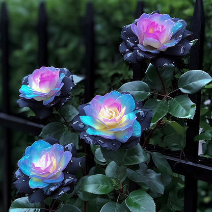 Rare Gallus Tricolor Rose Seeds