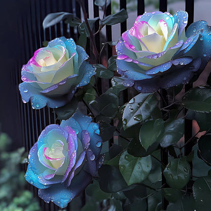 Rare Gallus Tricolor Rose Seeds